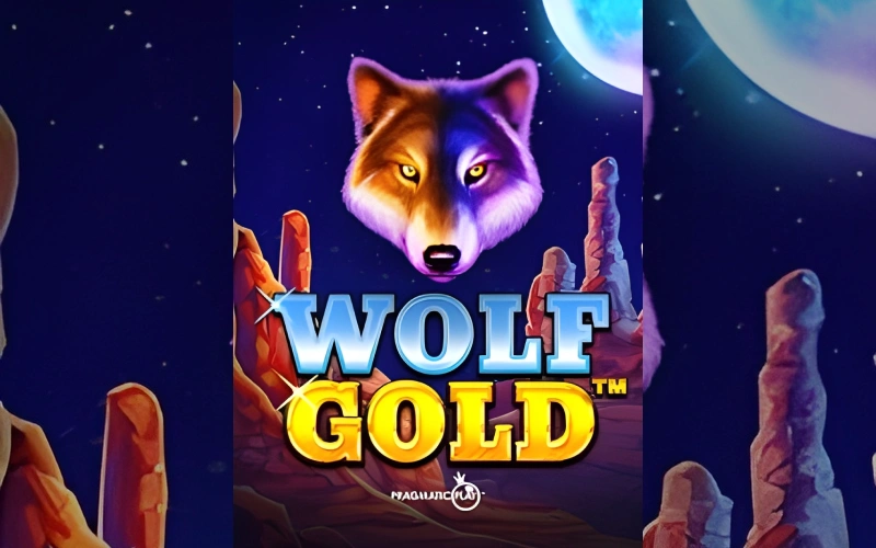 Descubre las funciones de la popular slot Wolf Gold en el casino — JB Casino en Argentina